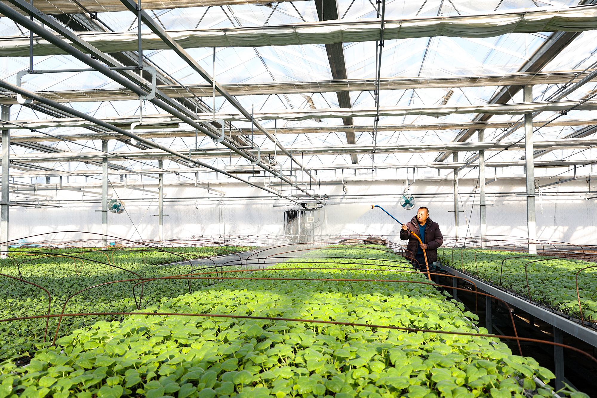 /gb2312/sdcy/xdny/2220.html