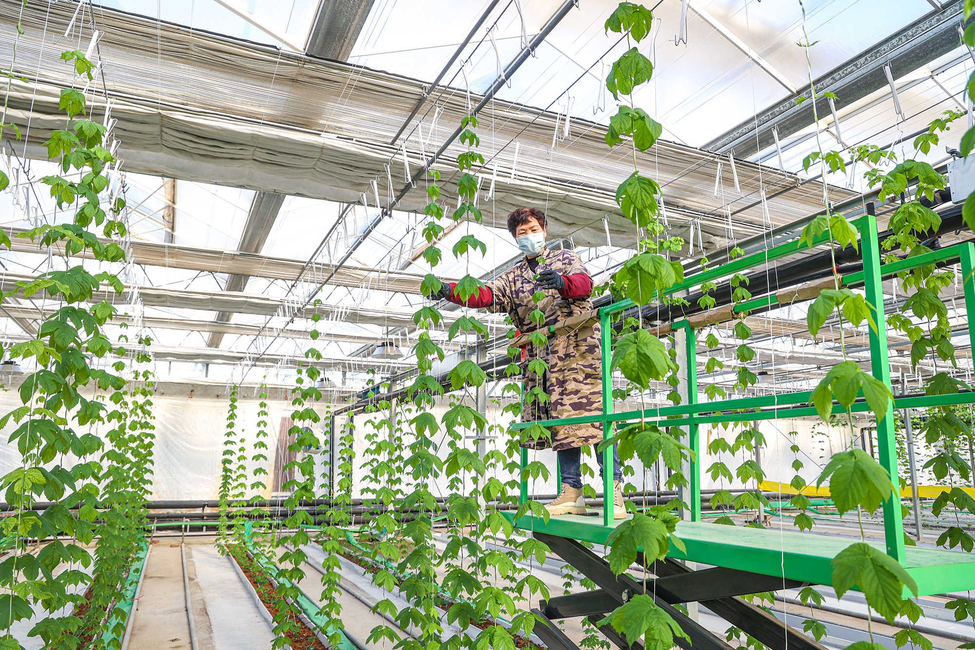 /gb2312/xwzx/gsxw/2247.html