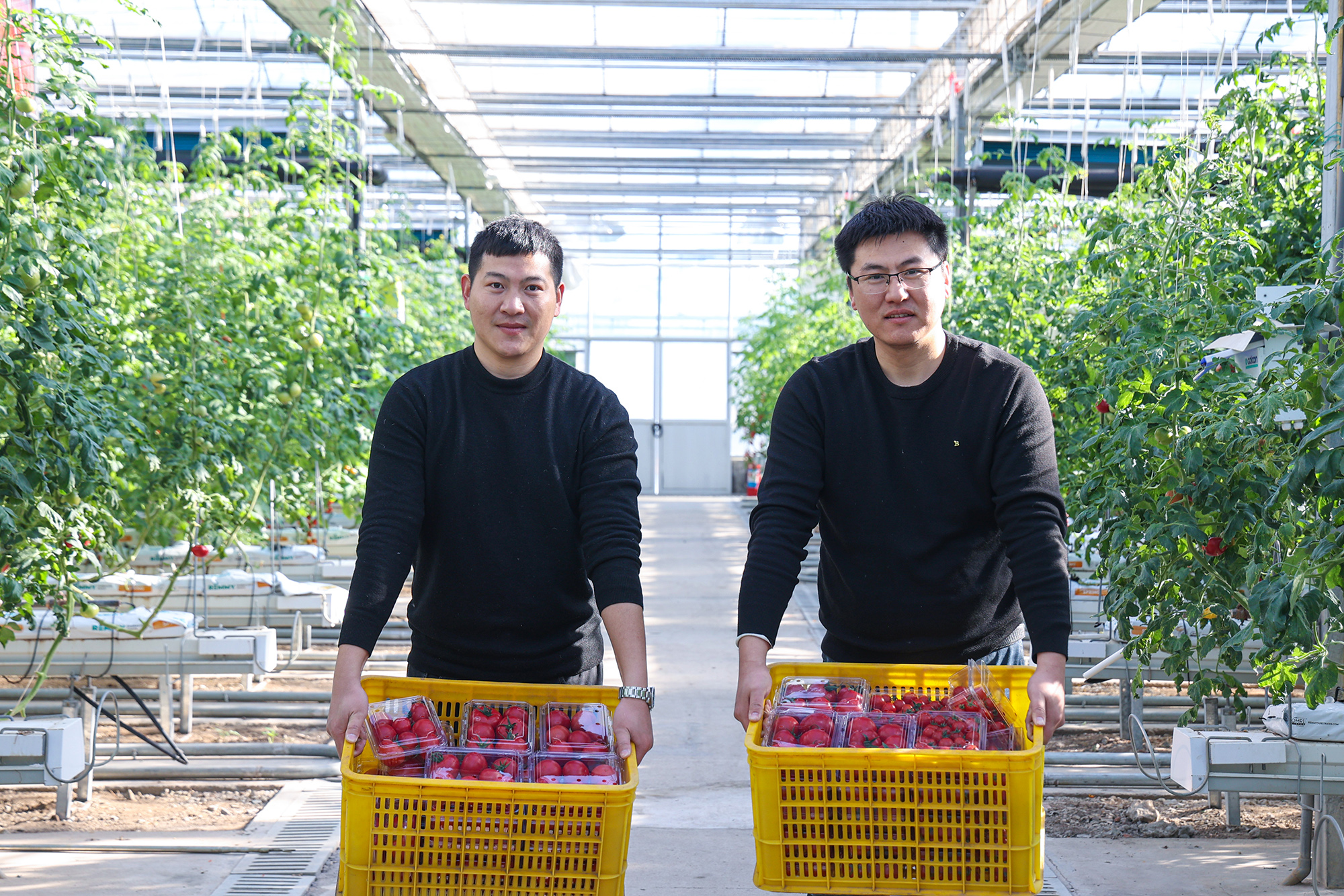 /gb2312/sdcy/xdny/2264.html