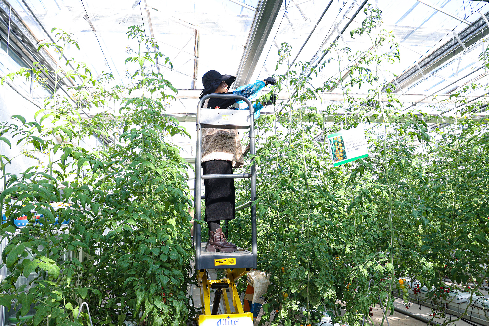 /gb2312/sdcy/xdny/2282.html