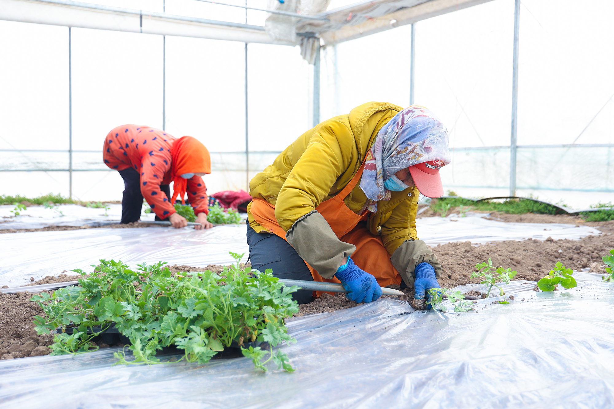 /gb2312/sdcy/xdny/2283.html