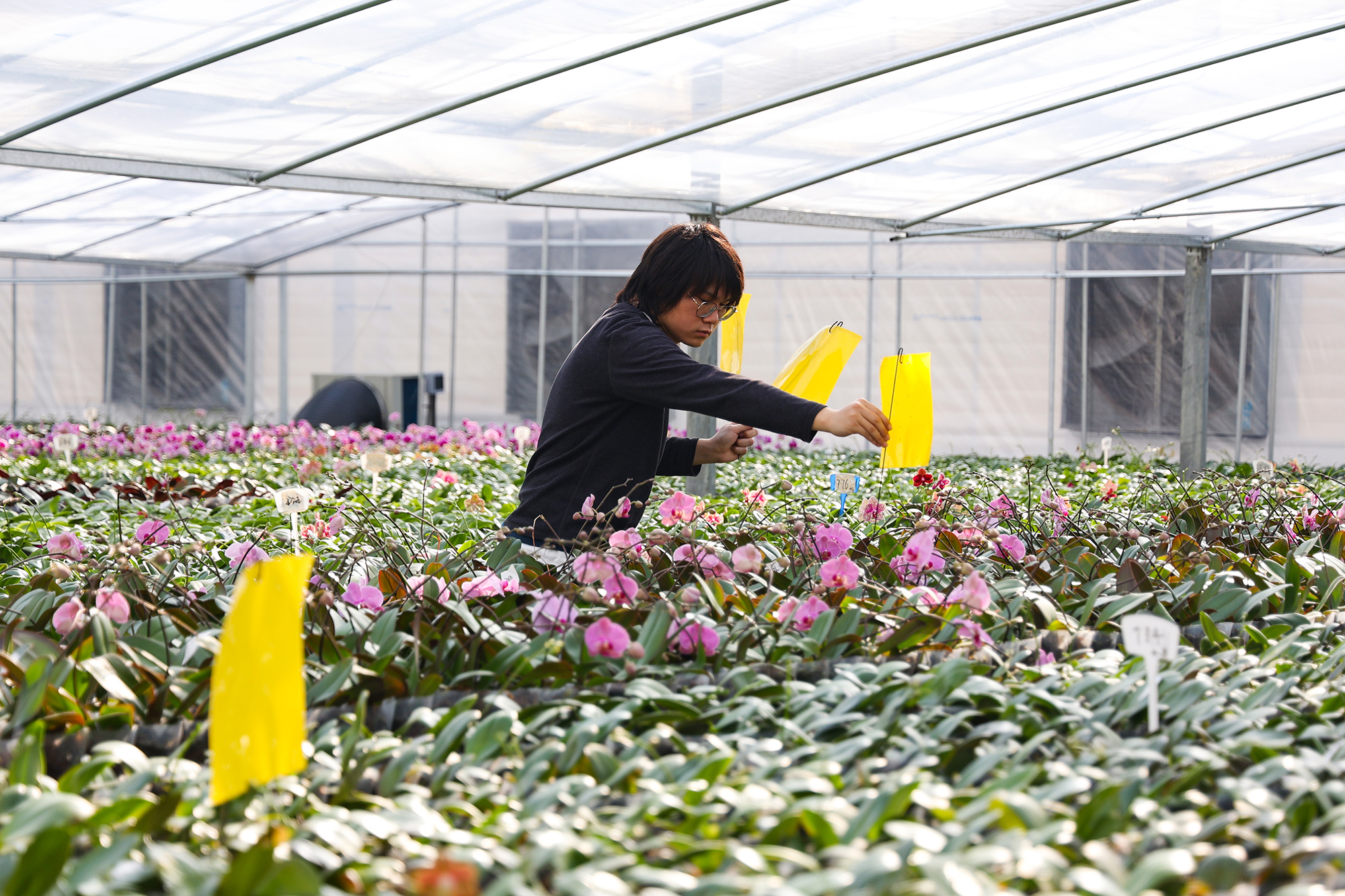 /gb2312/sdcy/xdny/2287.html