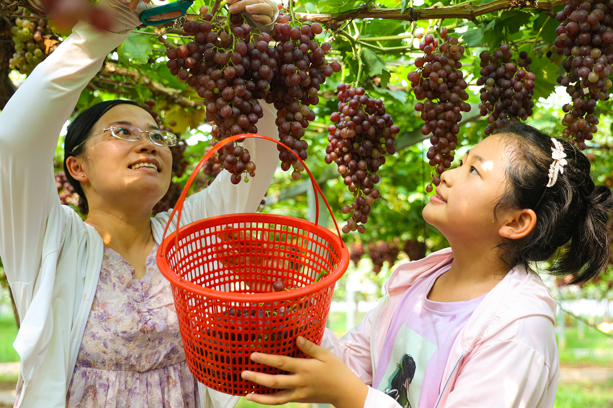 /gb2312/sdcy/stly/2476.html