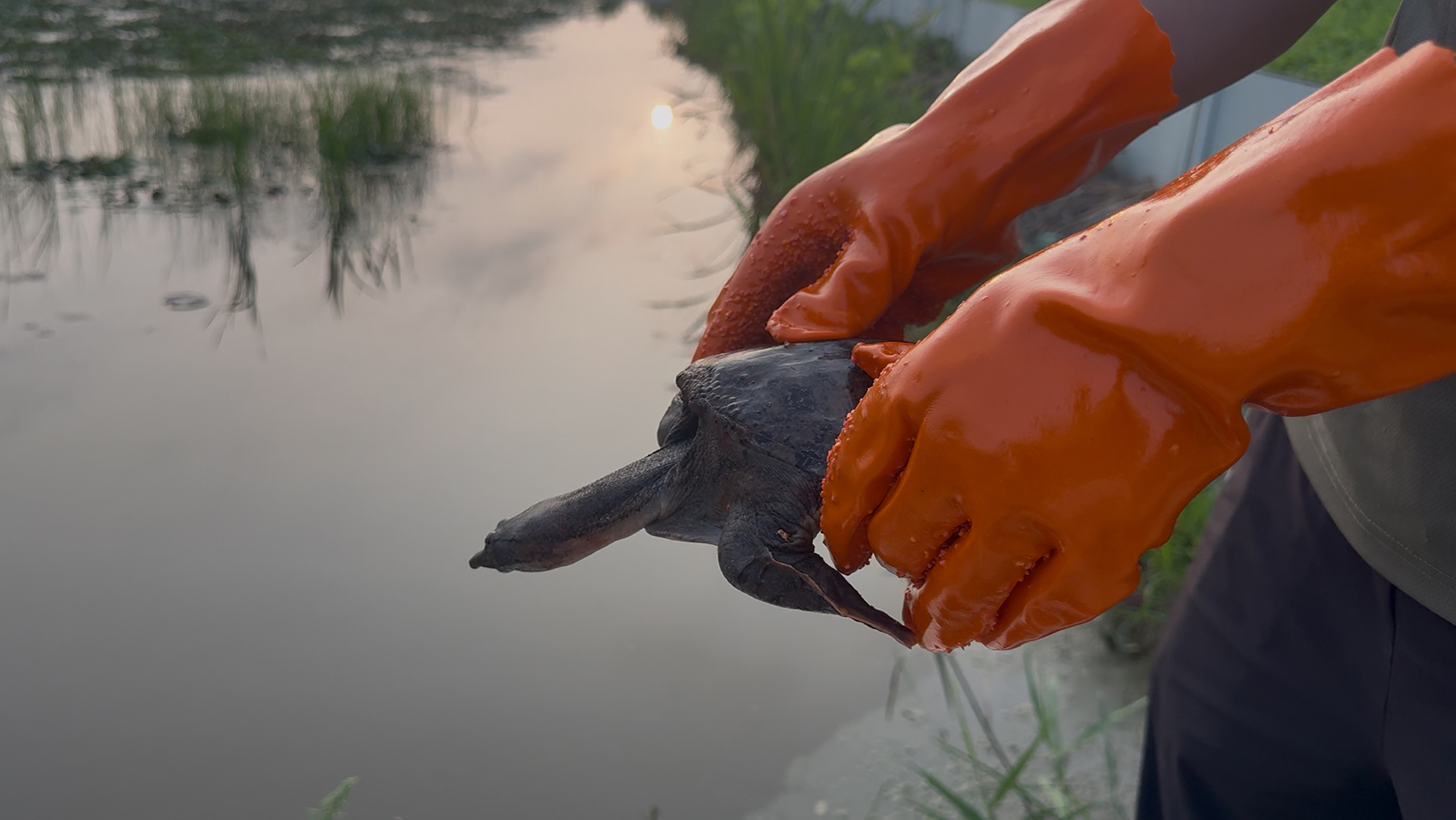 /gb2312/sdcy/stly/2513.html