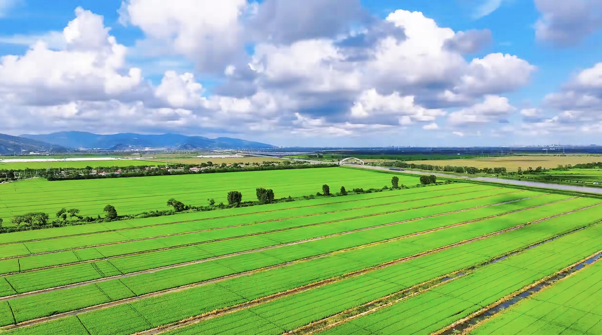 /gb2312/sdcy/xdny/2533.html