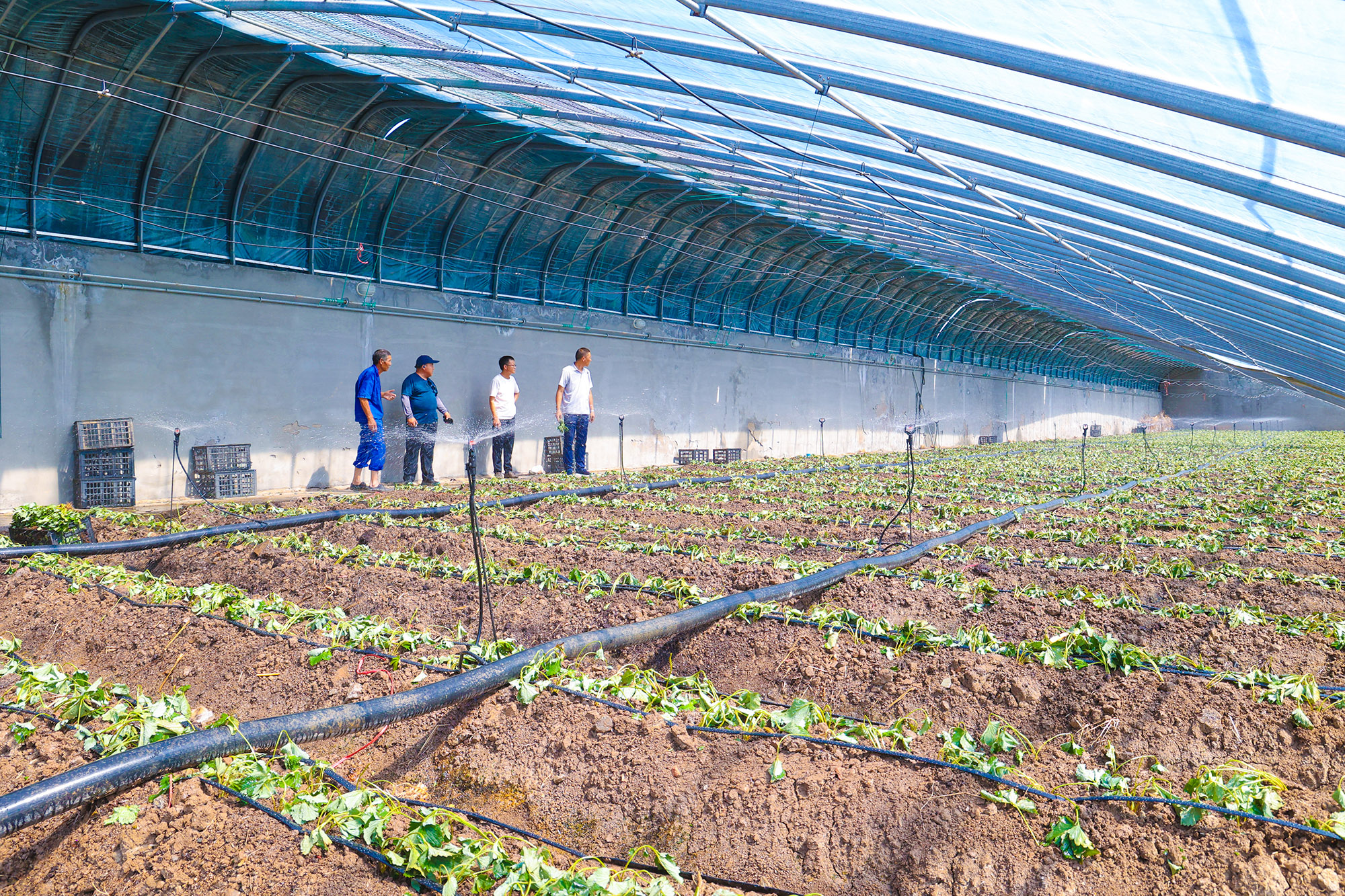 /gb2312/sdcy/stly/2537.html