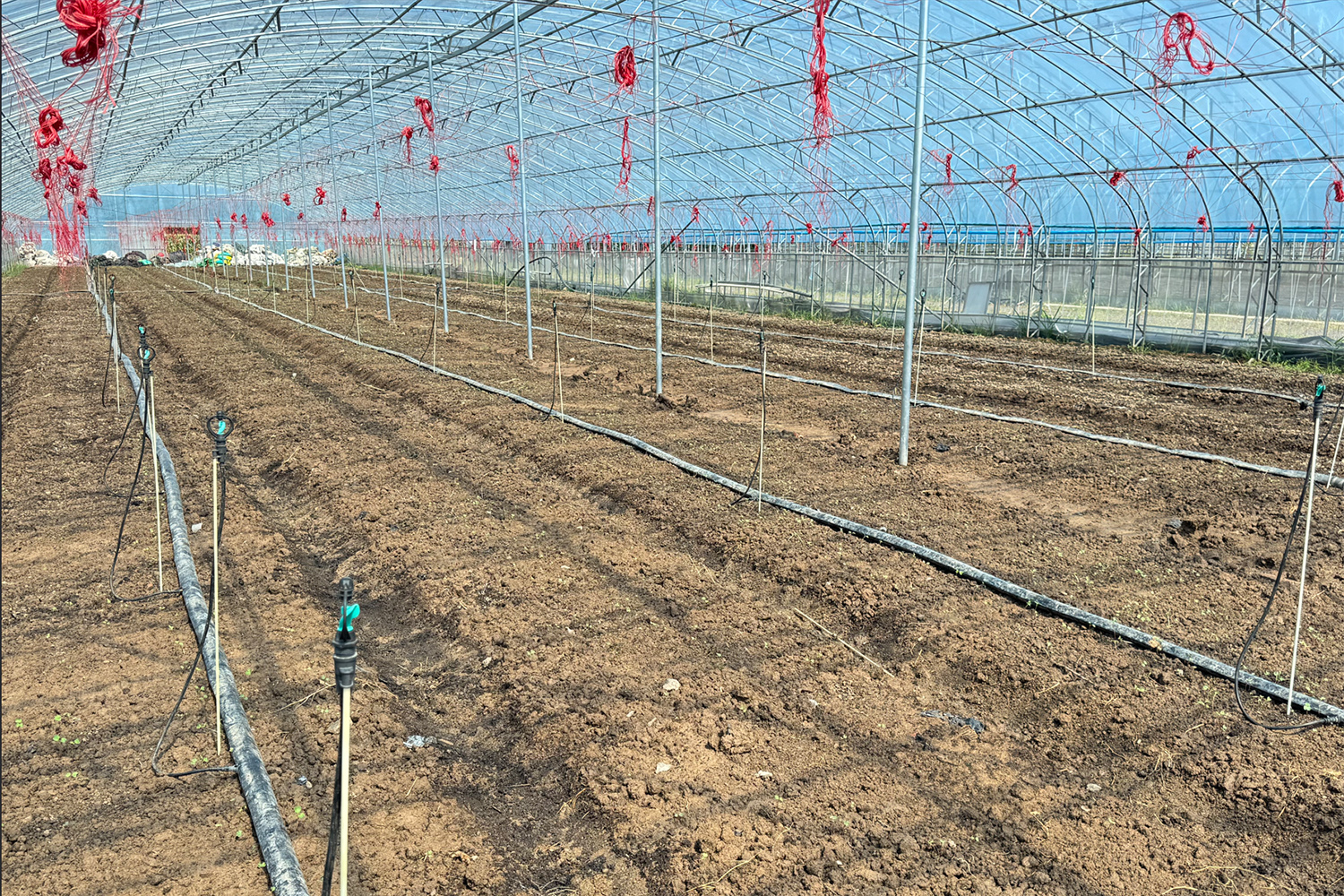 /gb2312/sdcy/stly/2539.html