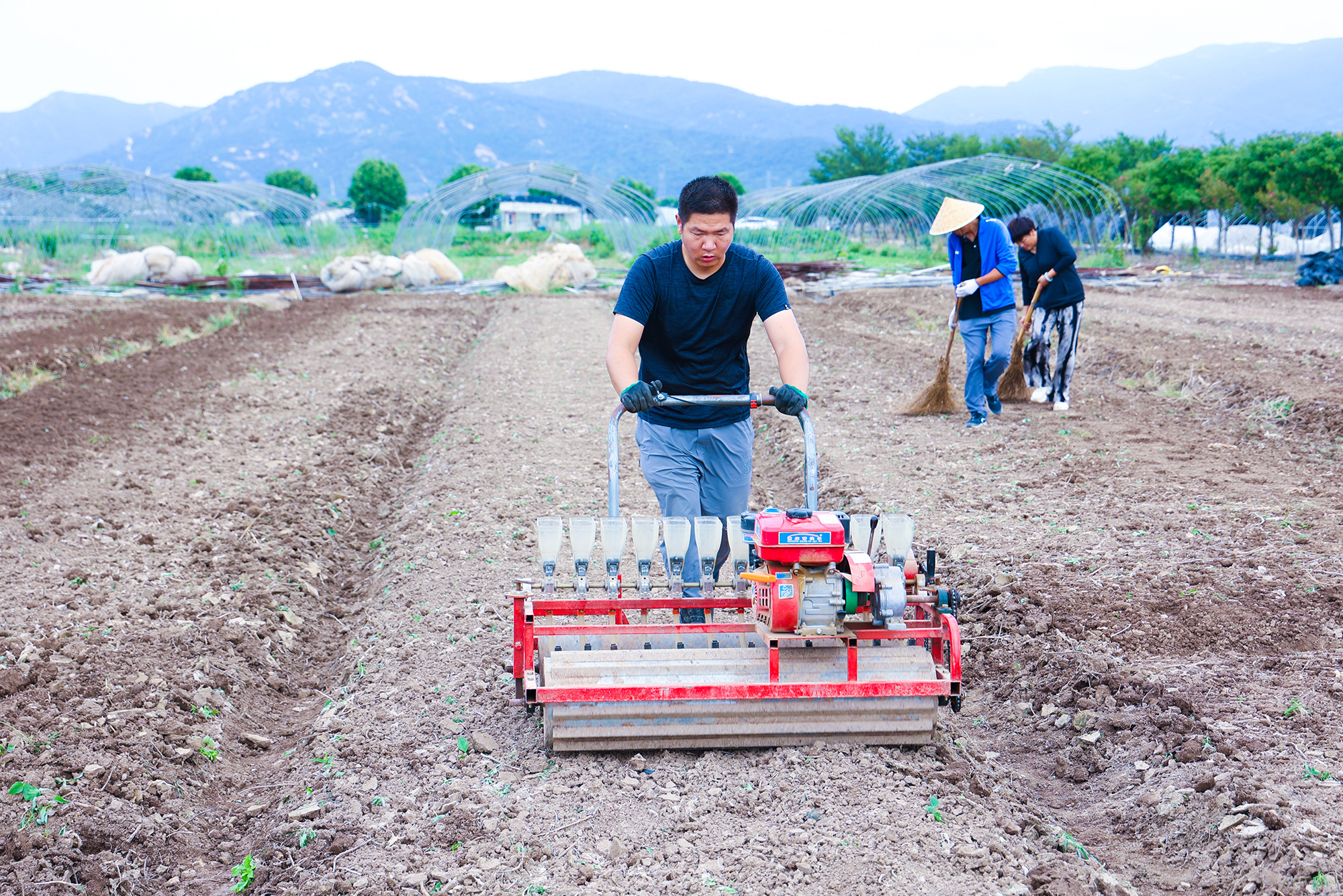 /gb2312/sdcy/xdny/2538.html