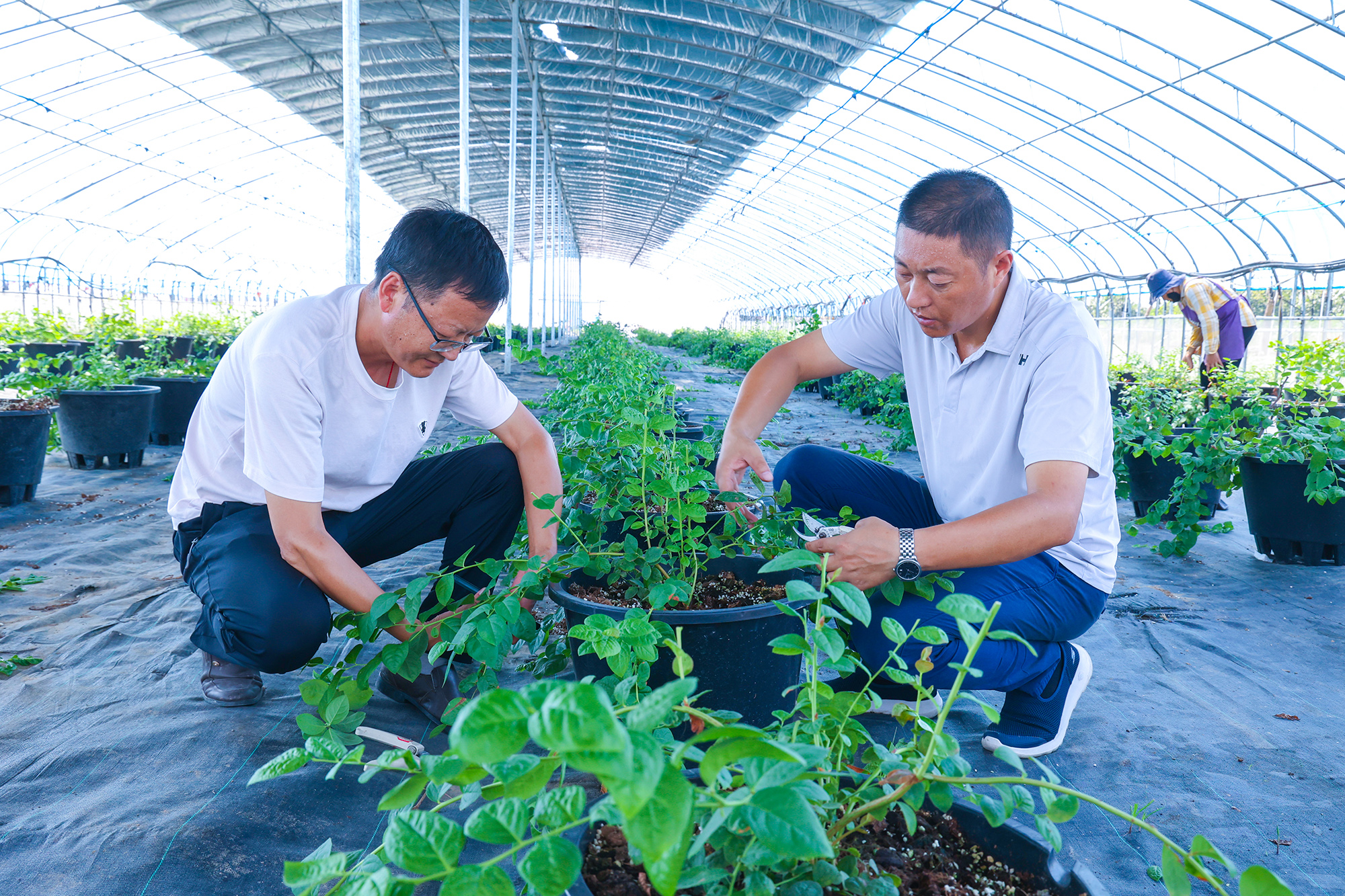 /gb2312/sdcy/stly/2541.html