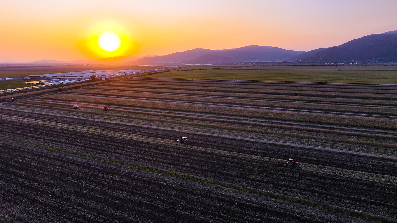 /gb2312/sdcy/xdny/2571.html