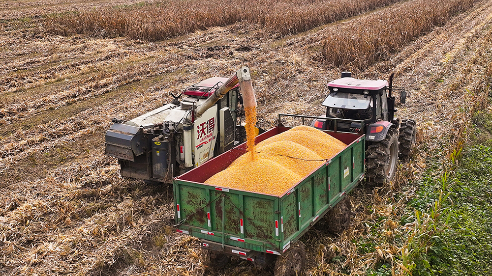 /gb2312/sdcy/xdny/2574.html