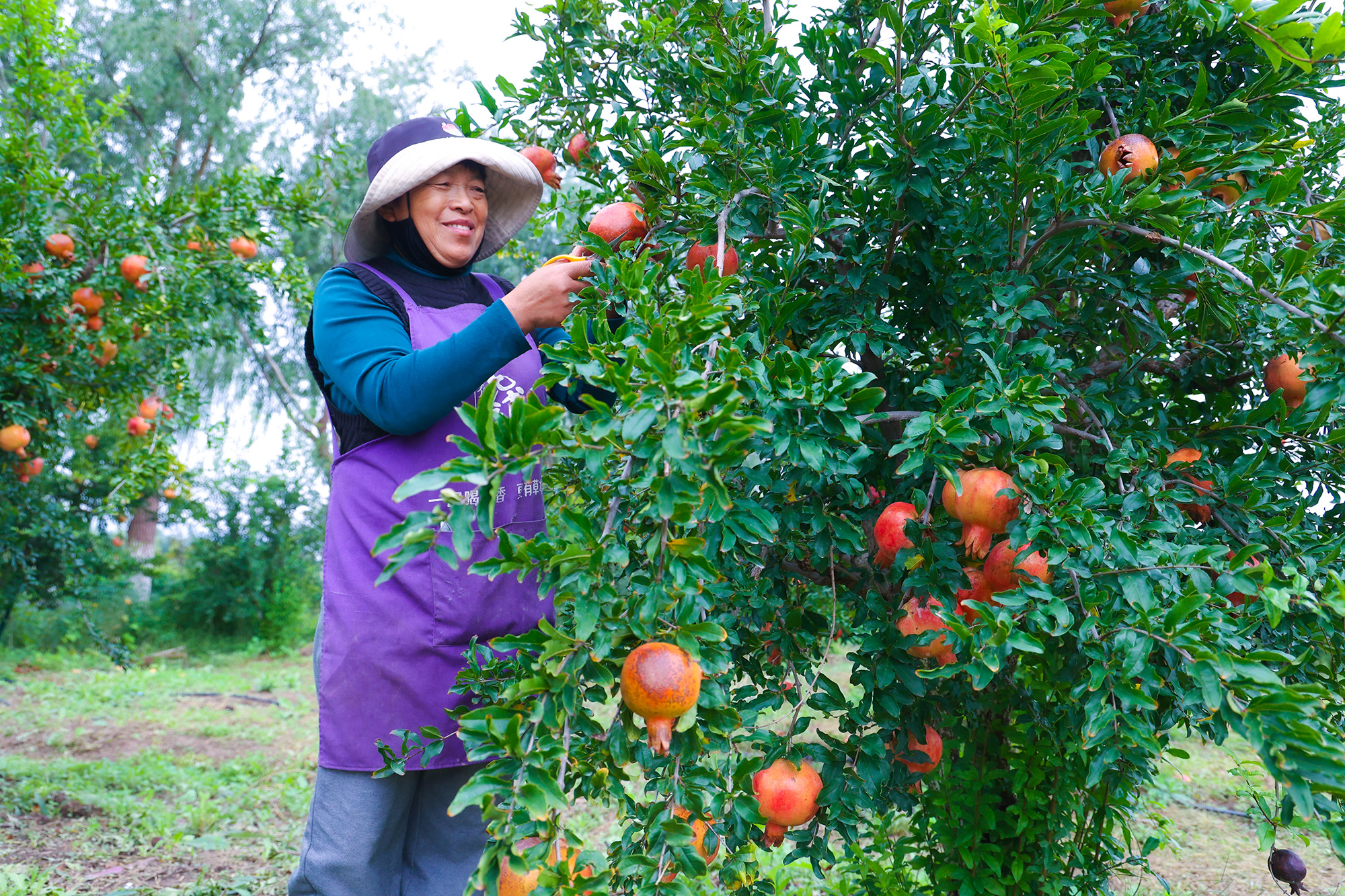 /gb2312/sdcy/stly/2579.html