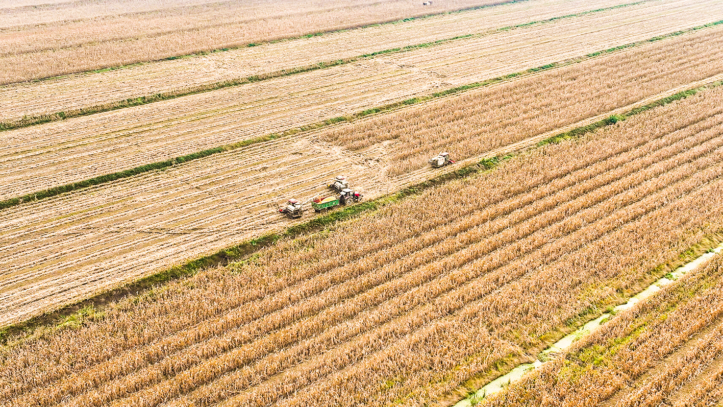 /gb2312/sdcy/xdny/2578.html