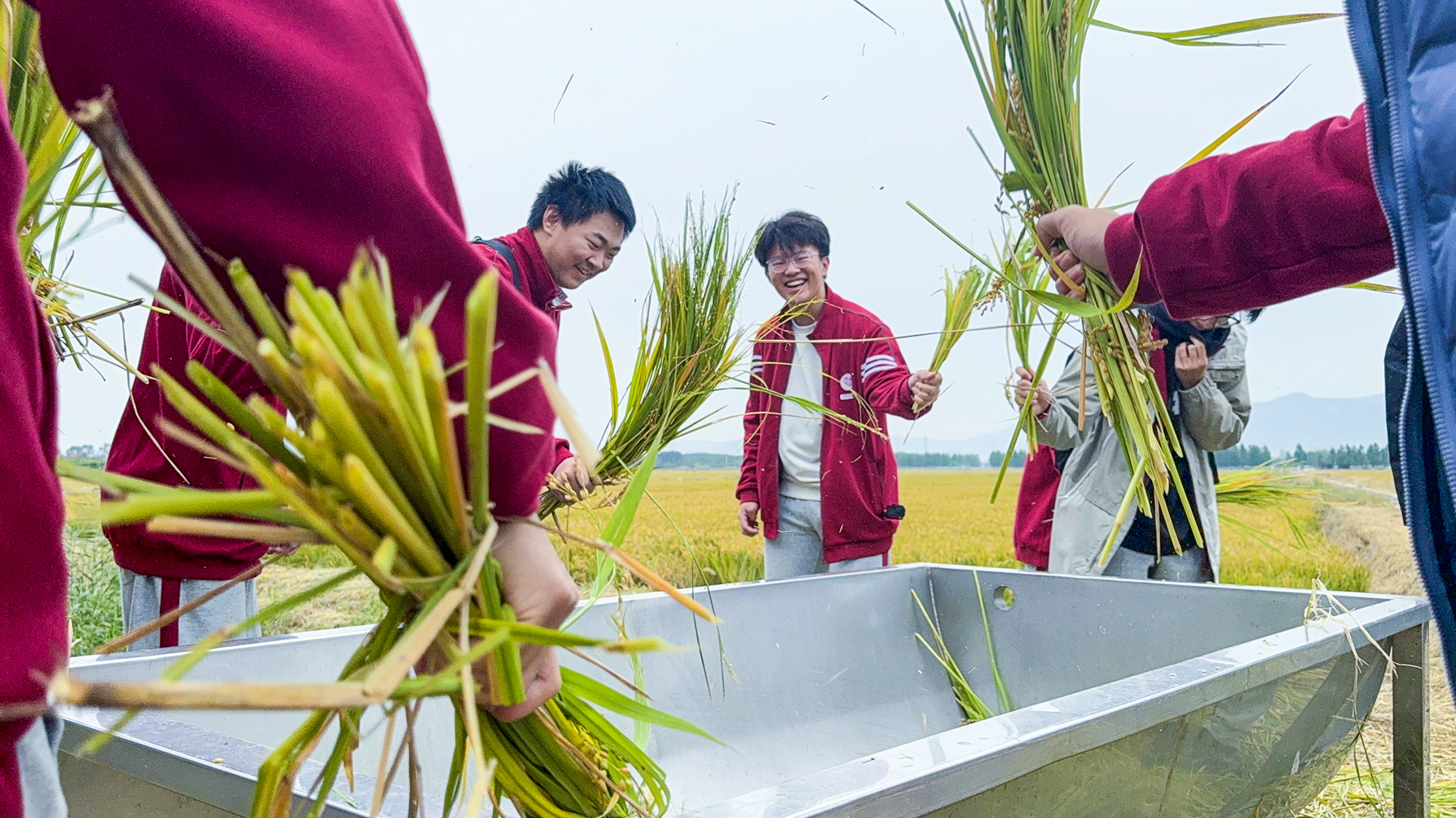 /gb2312/sdcy/stly/2588.html