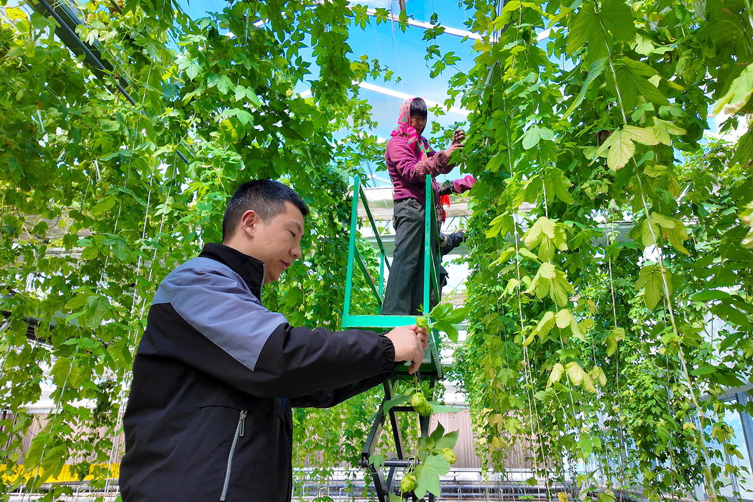 /gb2312/sdcy/xdny/2591.html