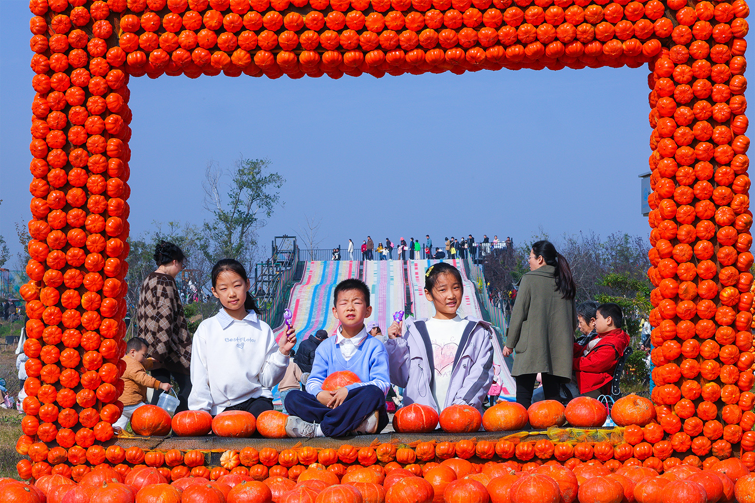 /gb2312/sdcy/stly/2613.html