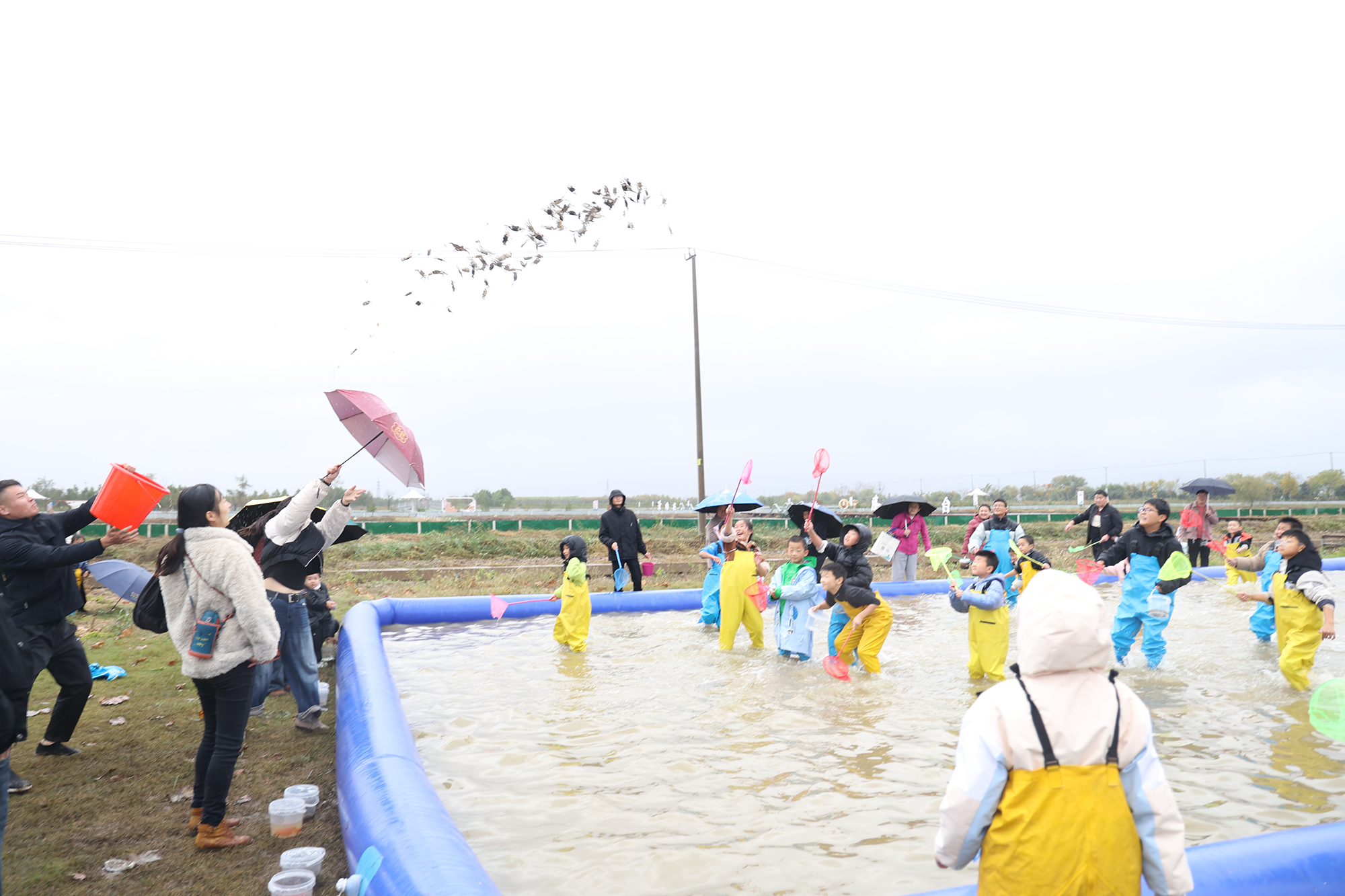 /gb2312/sdcy/stly/2612.html