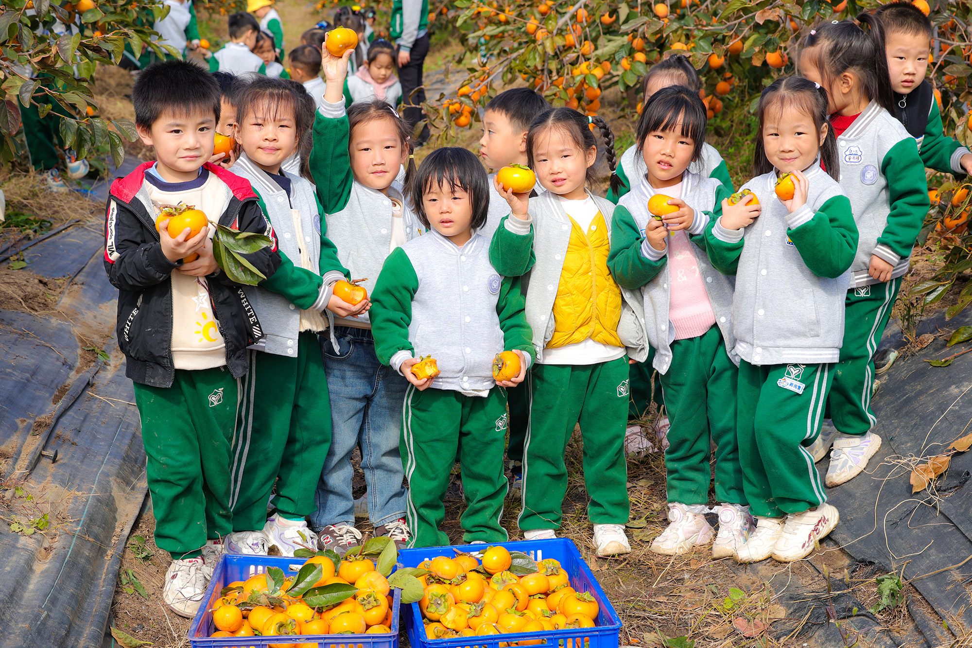 /gb2312/sdcy/stly/2617.html