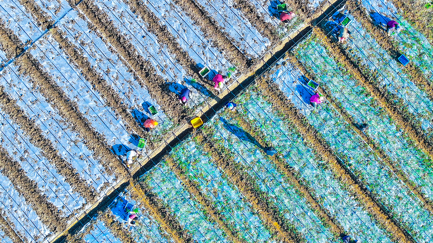 /gb2312/sdcy/xdny/2616.html