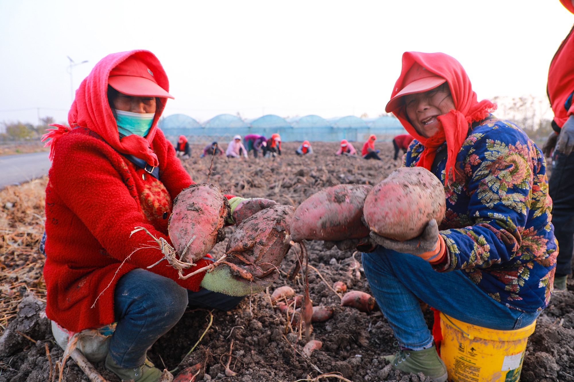 /gb2312/xwzx/gsxw/2629.html