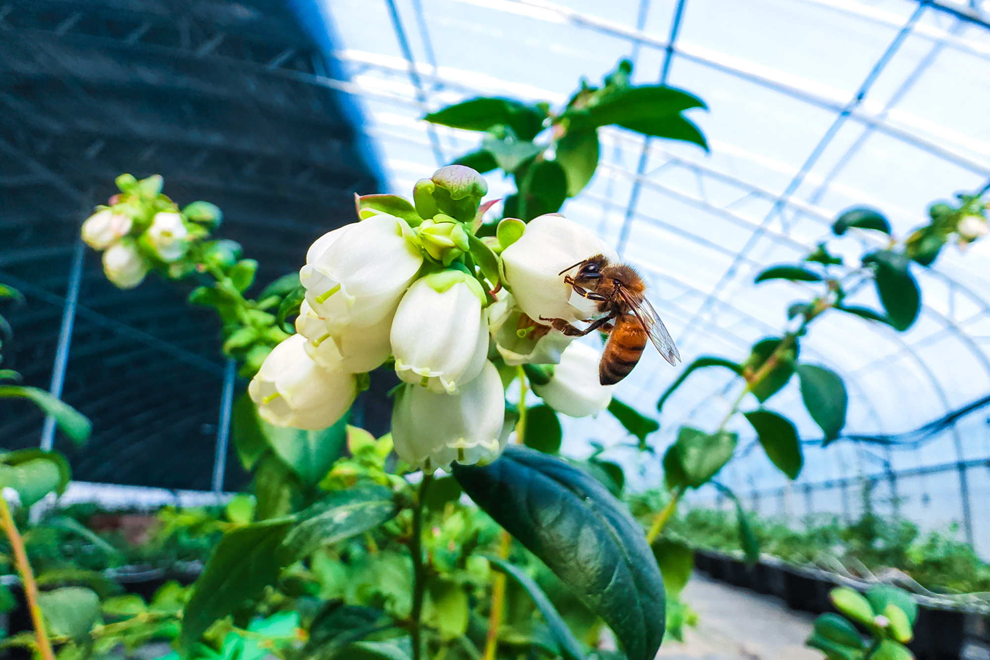 /gb2312/sdcy/stly/2675.html