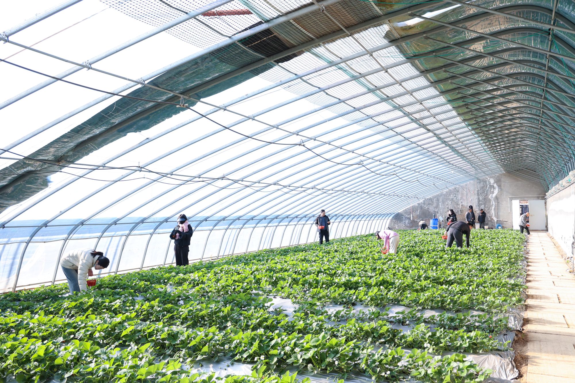 /gb2312/sdcy/stly/2682.html