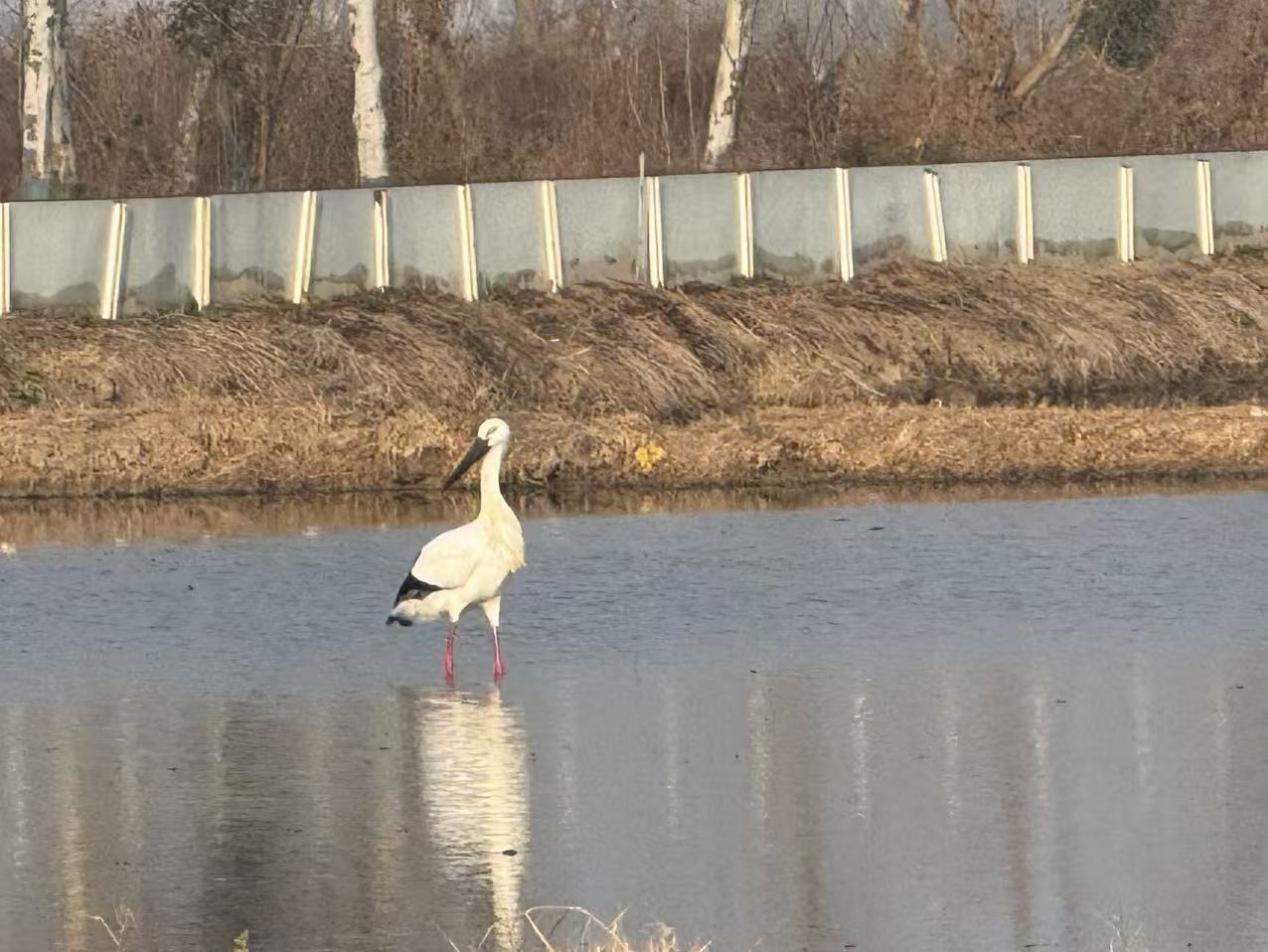 /gb2312/sdcy/stly/2679.html