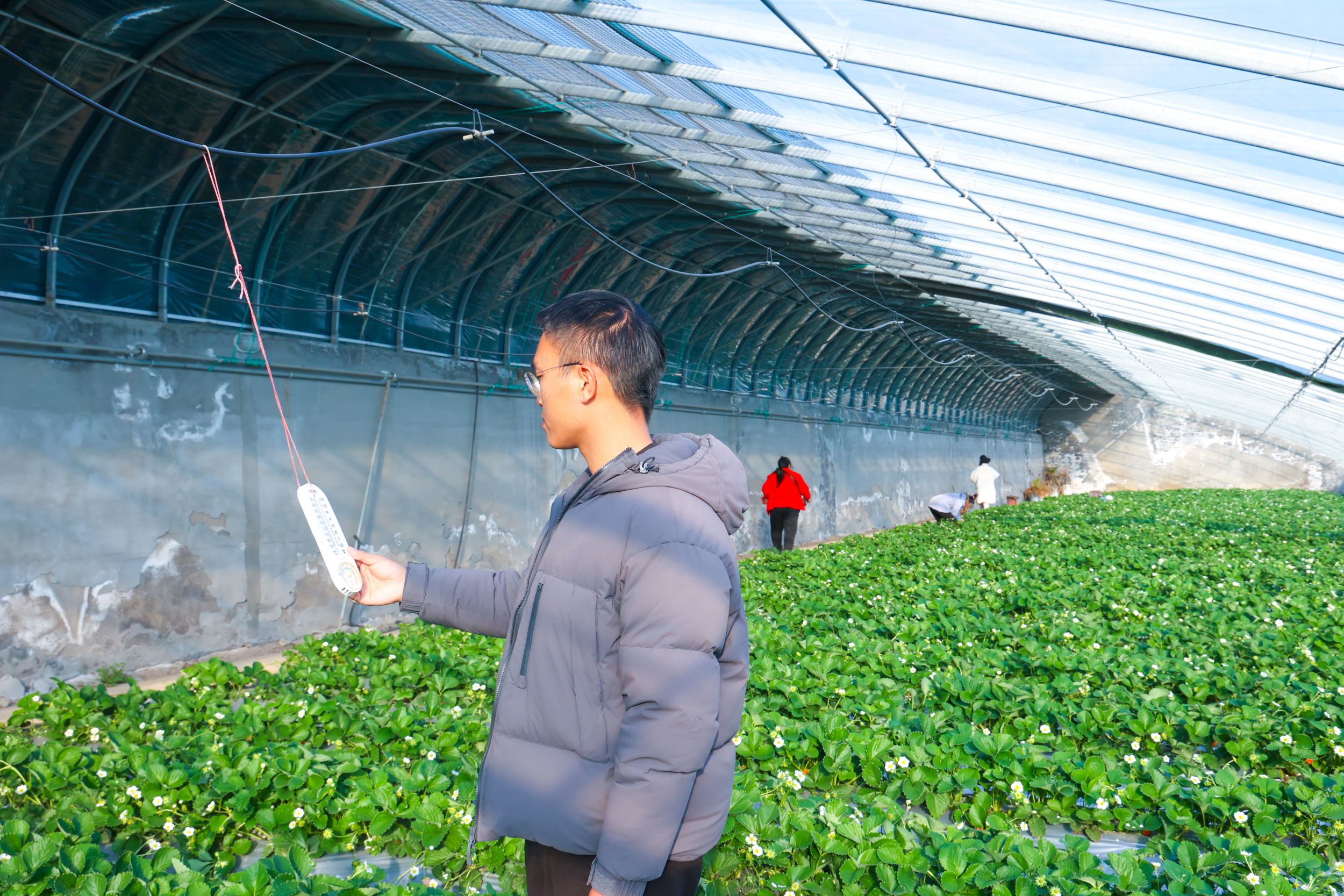 /gb2312/sdcy/stly/2685.html