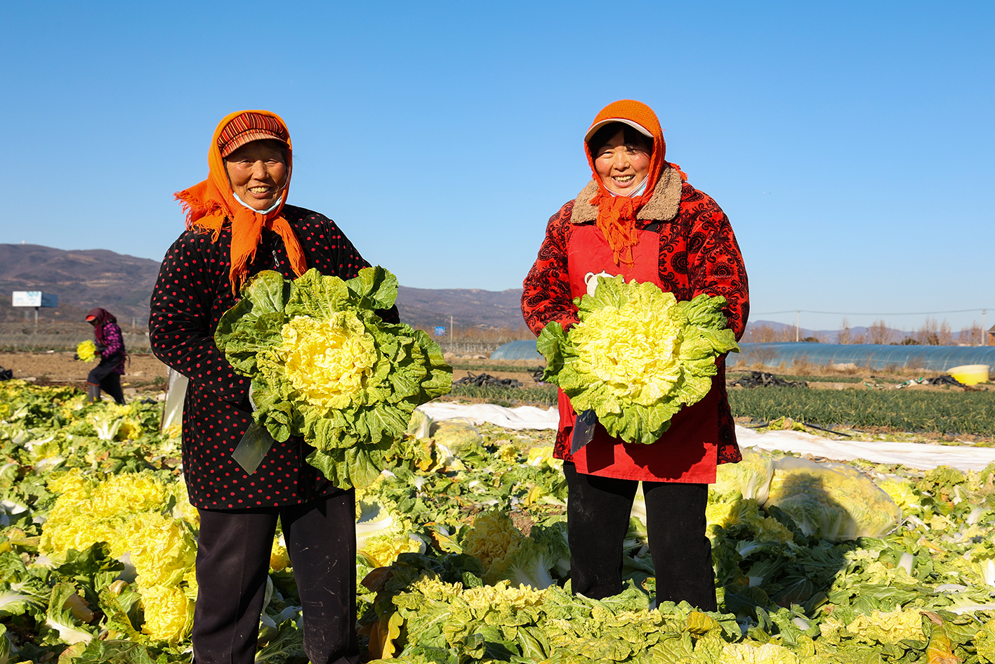 /gb2312/sdcy/xdny/2687.html