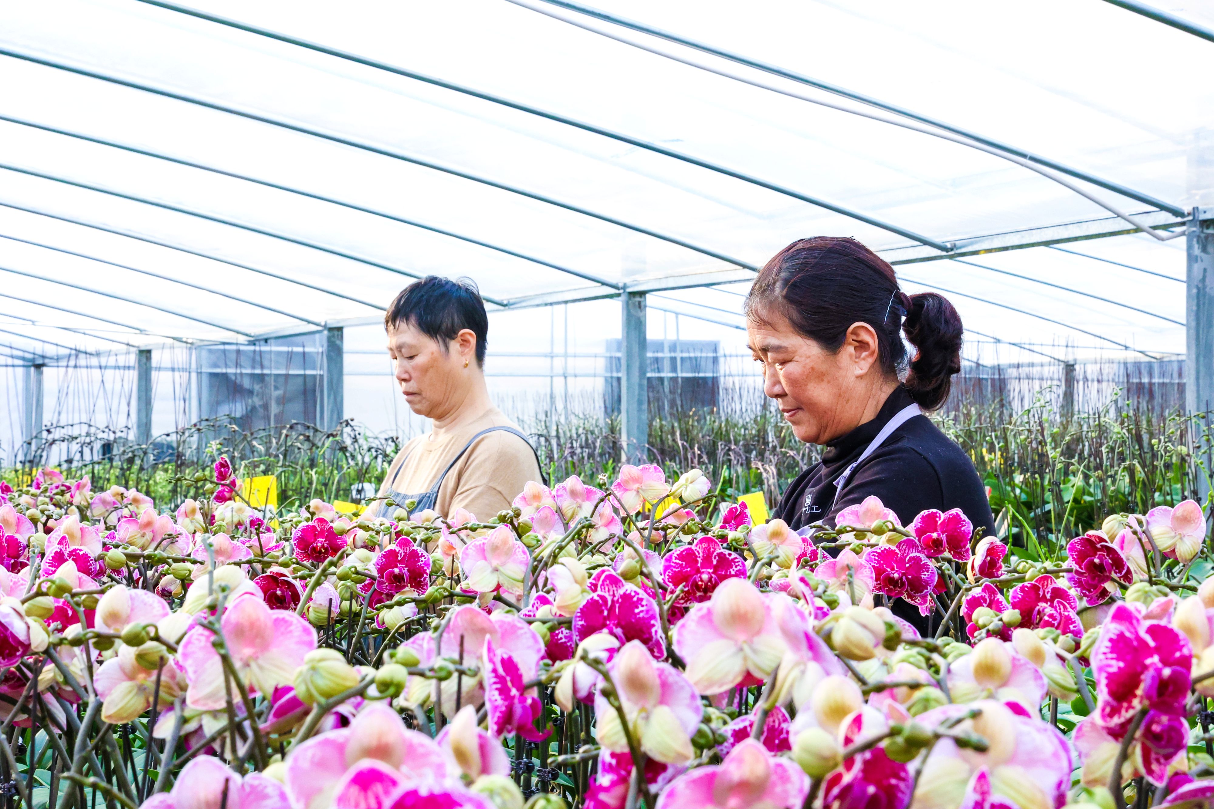 /gb2312/sdcy/xdny/2694.html