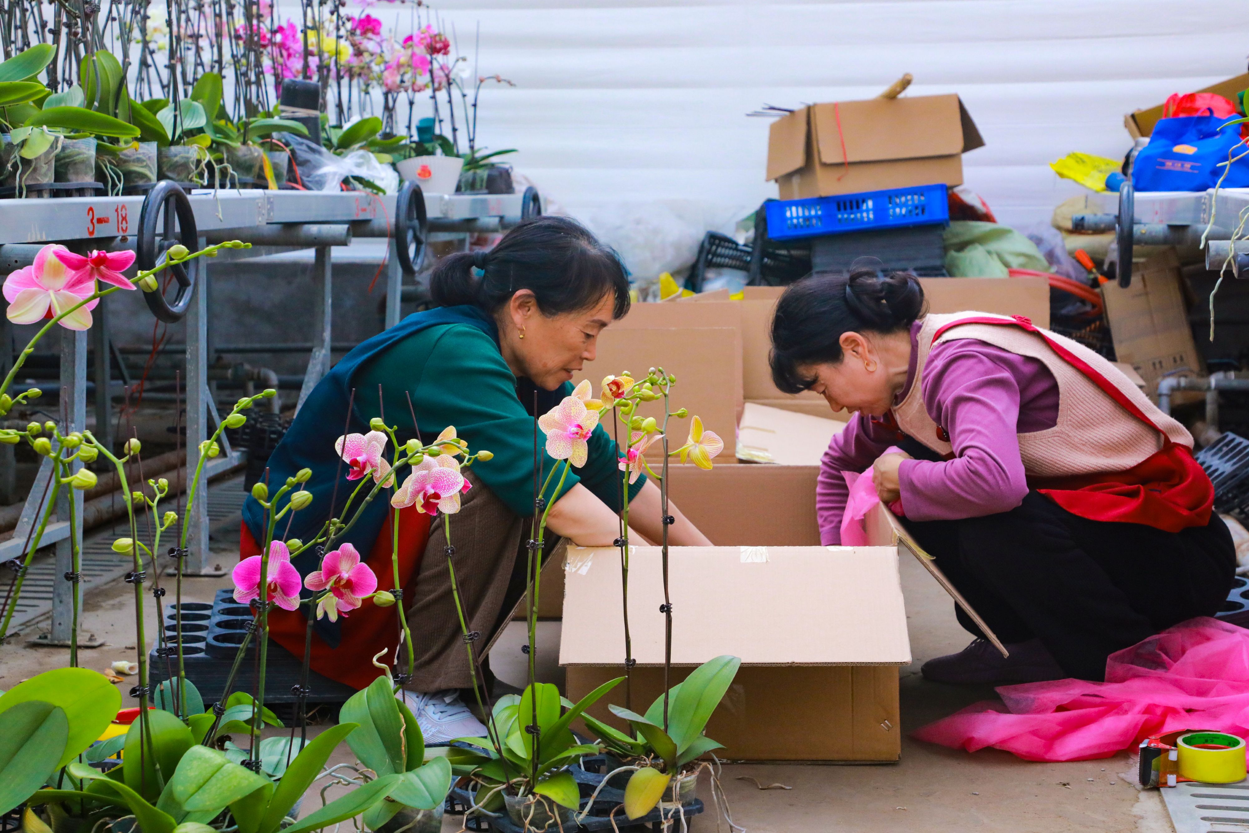 /gb2312/sdcy/xdny/2704.html