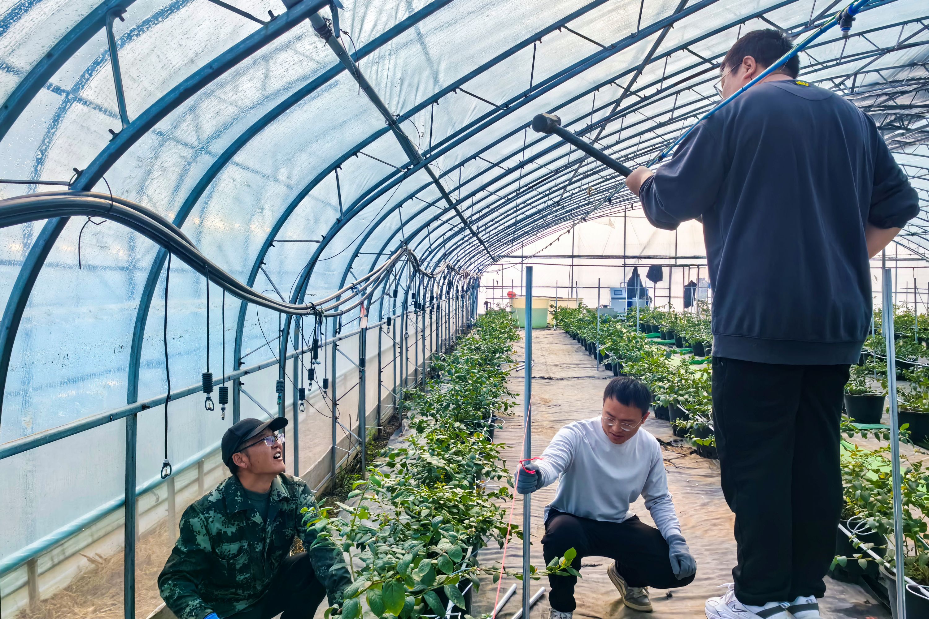 /gb2312/sdcy/stly/2701.html