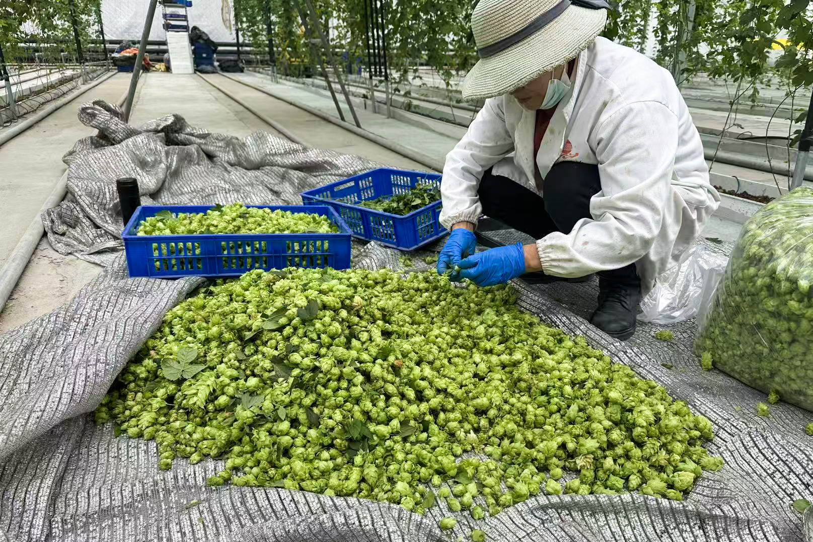 /gb2312/sdcy/xdny/2729.html