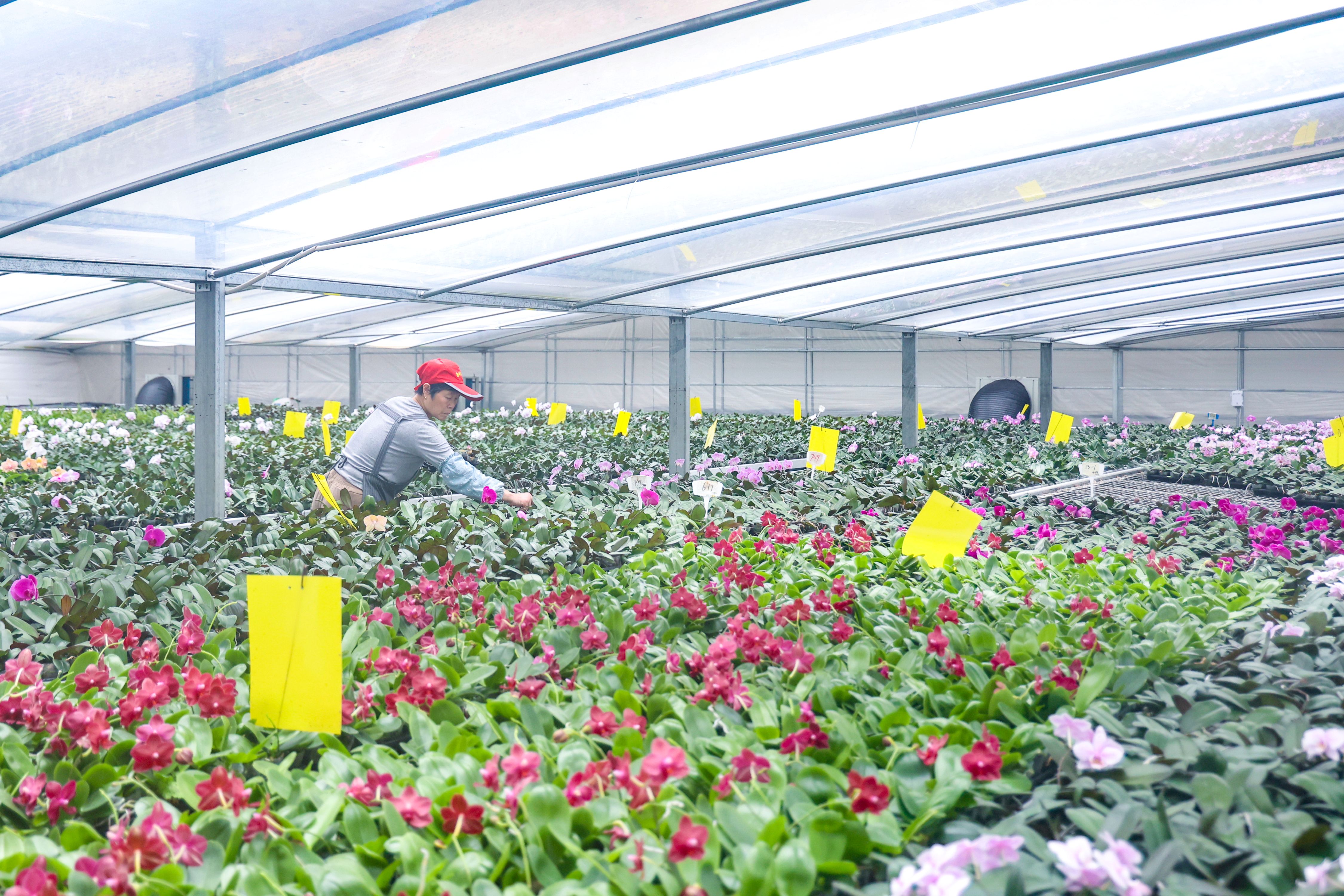 /gb2312/sdcy/xdny/2771.html