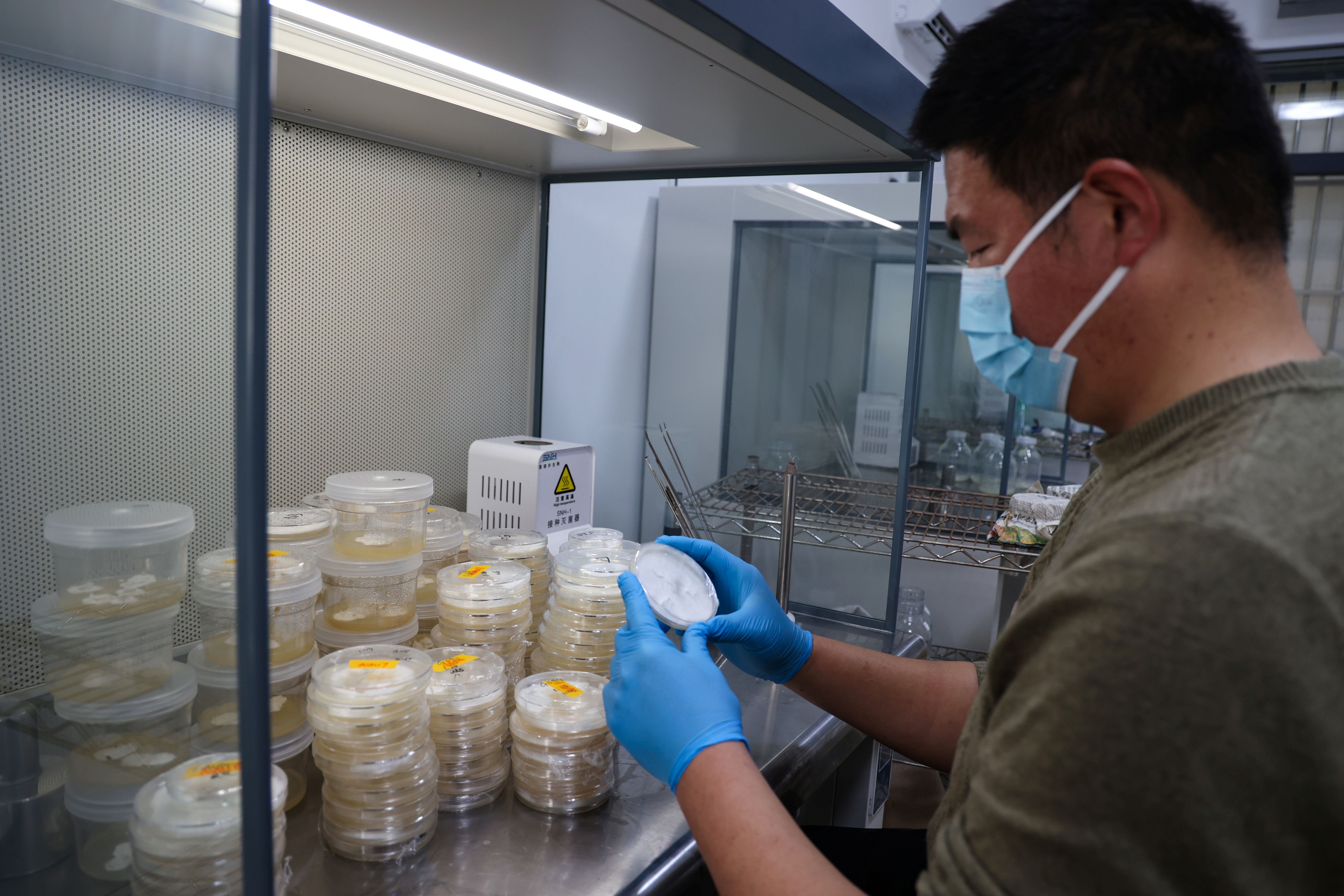 /gb2312/sdcy/xdny/2773.html