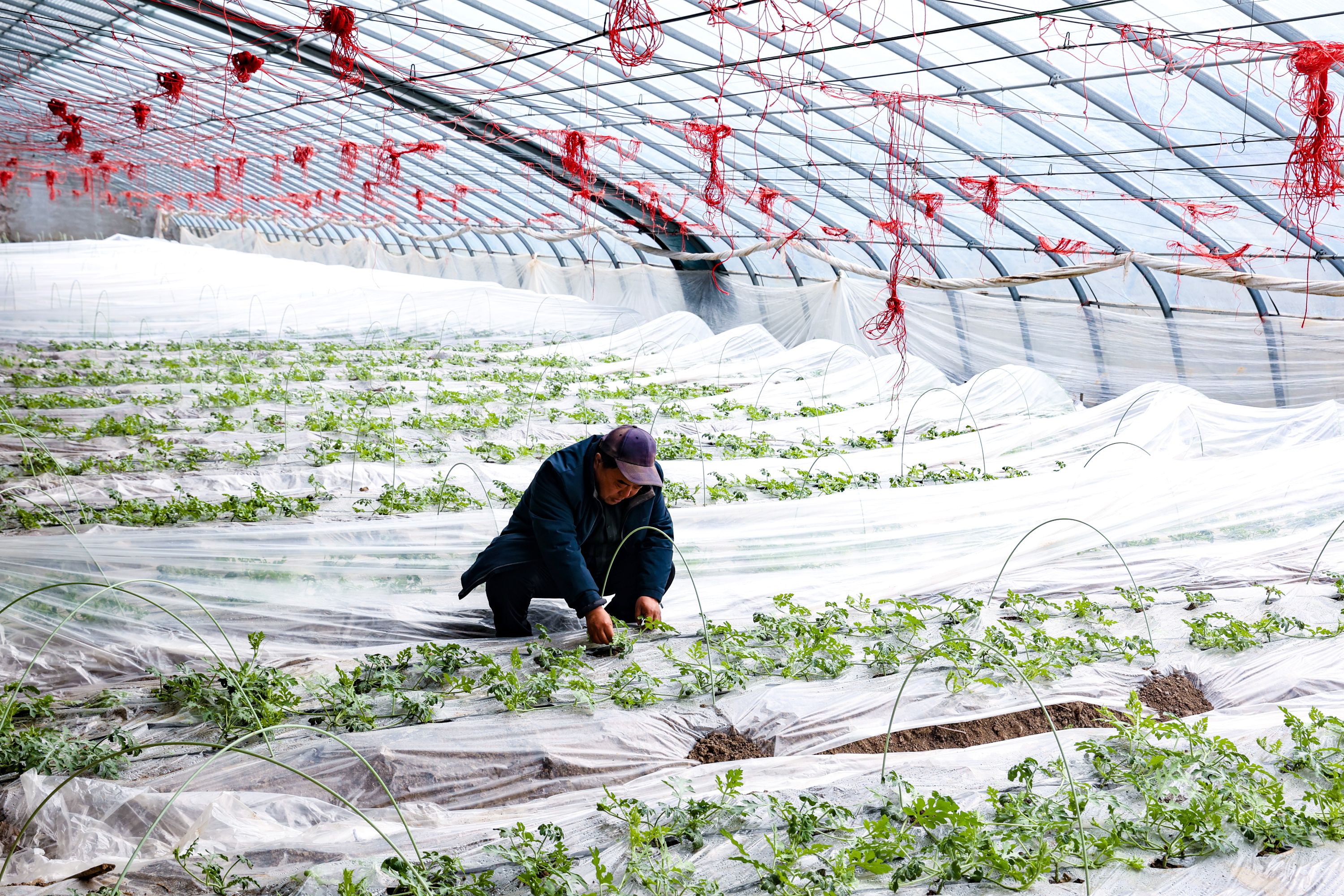 /gb2312/sdcy/stly/2772.html