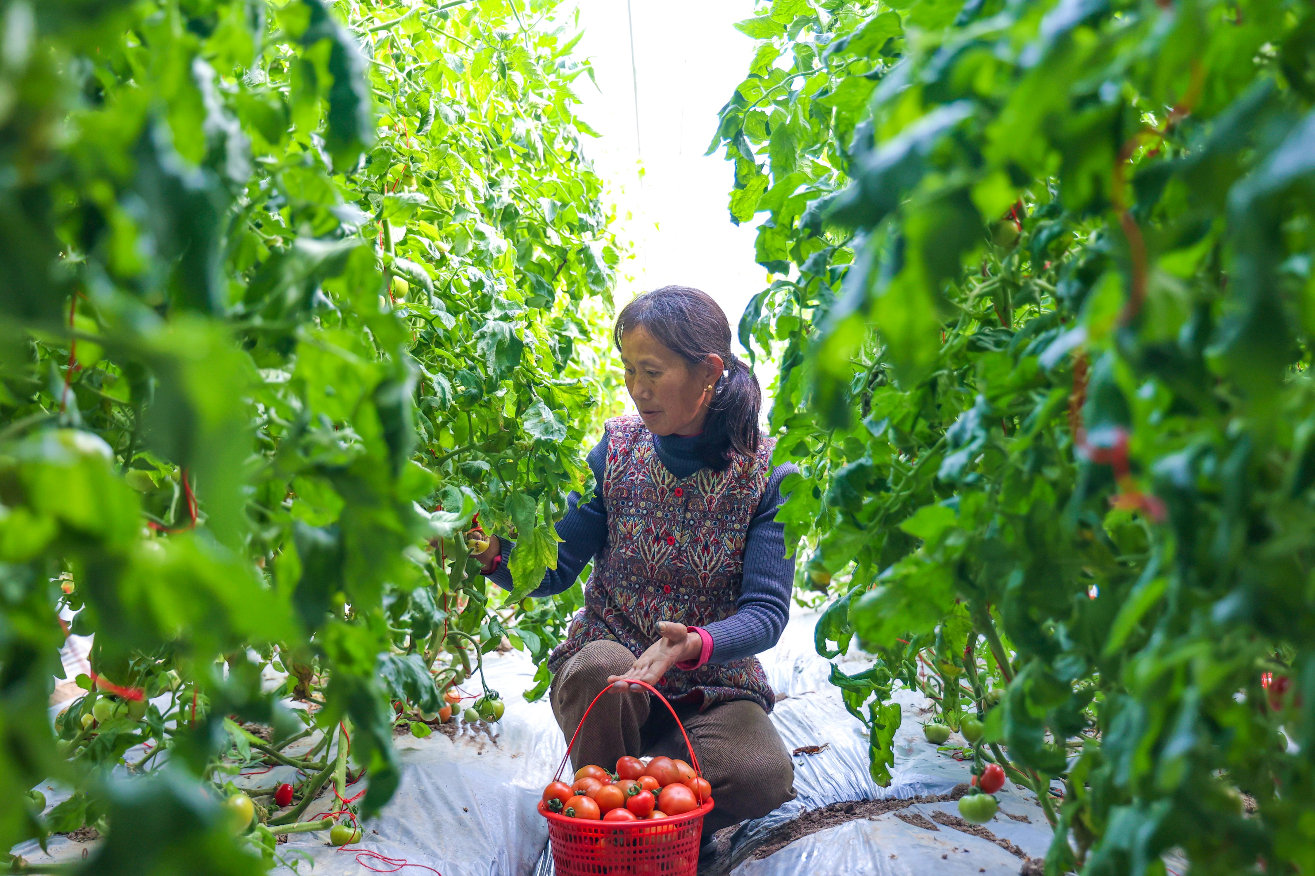 /gb2312/sdcy/stly/2798.html