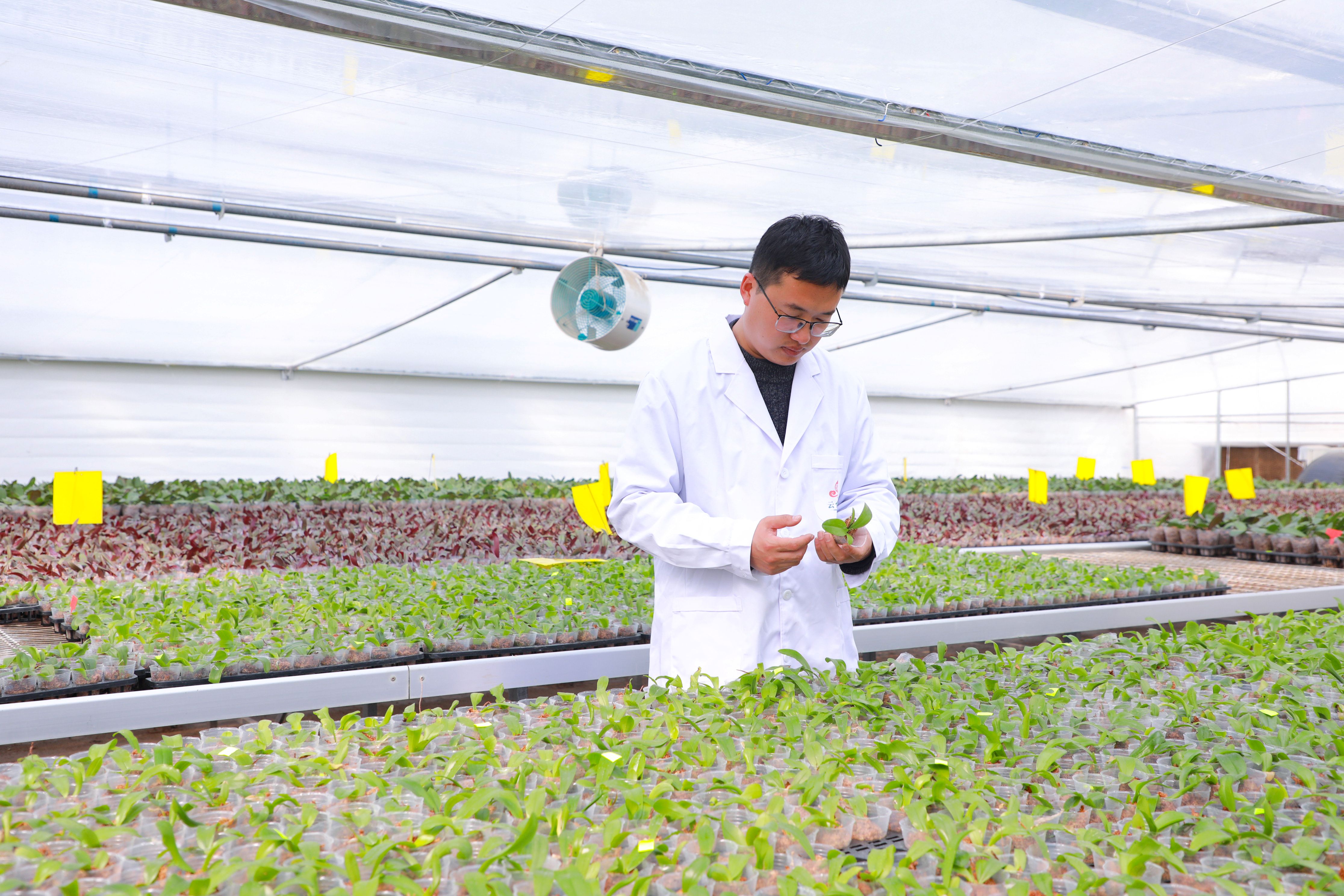 /gb2312/sdcy/xdny/2828.html