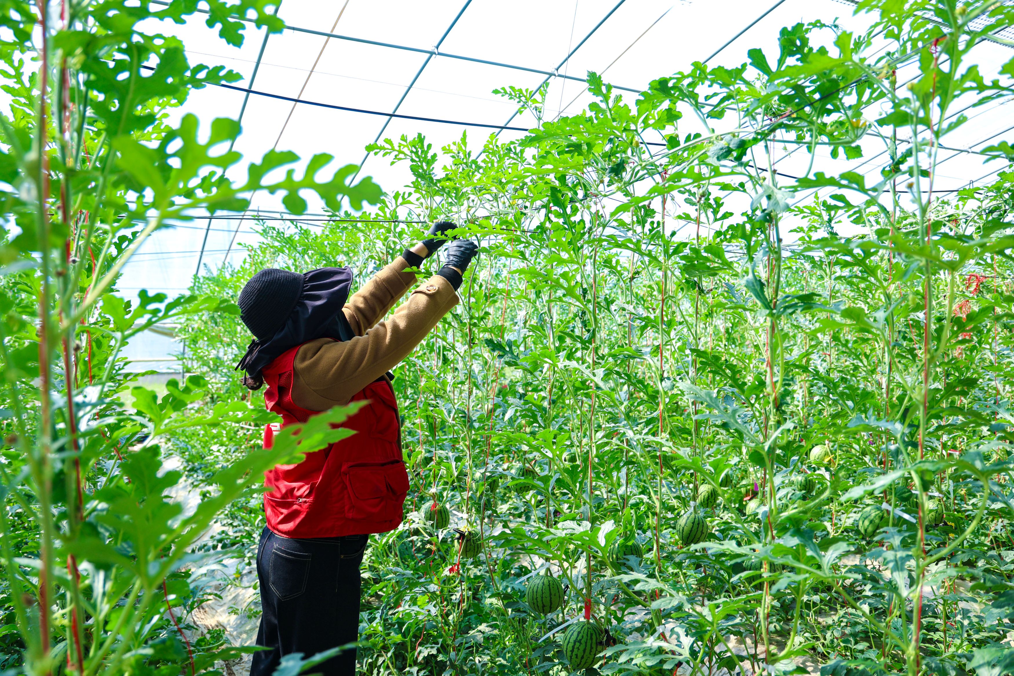 /gb2312/sdcy/stly/2838.html