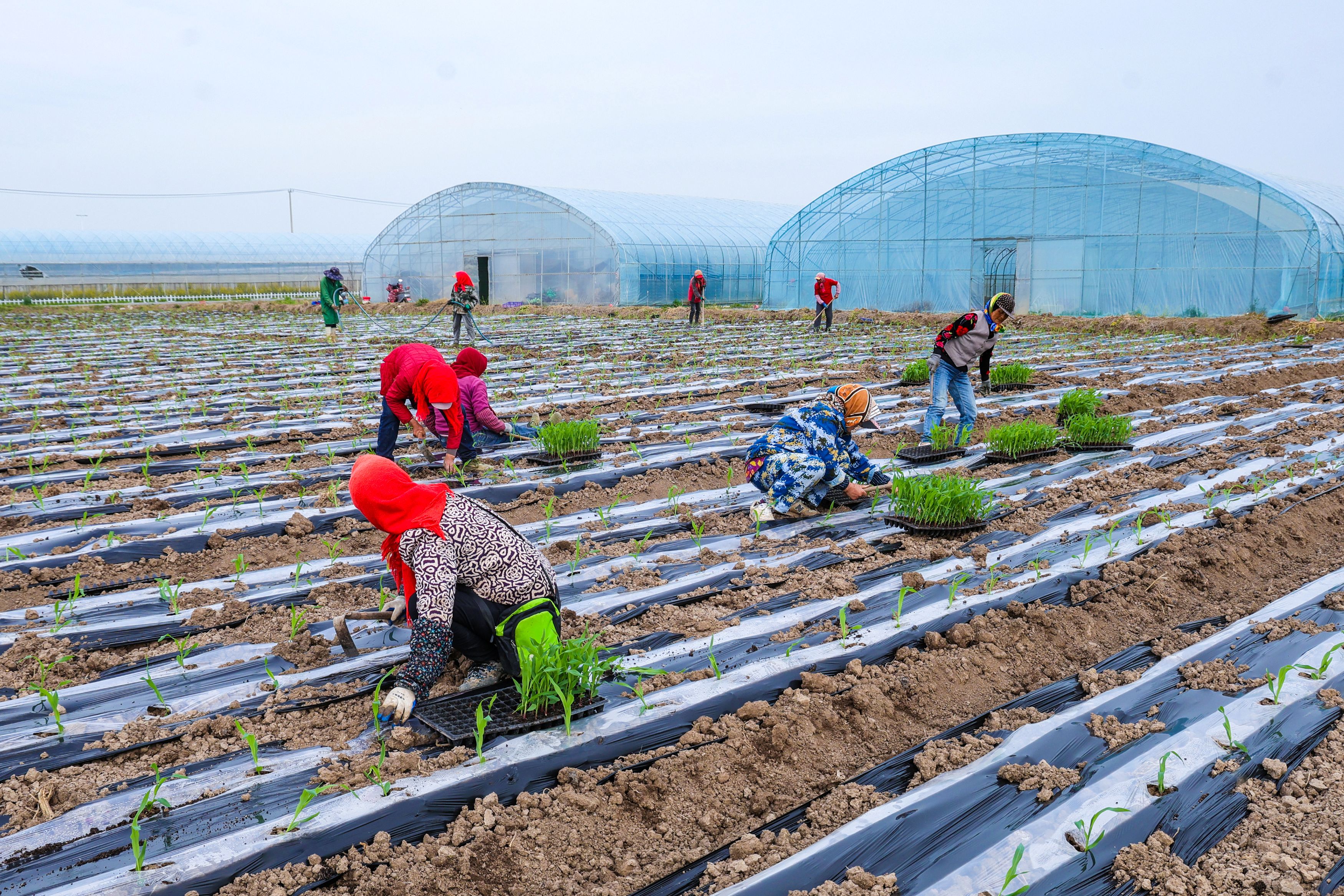 /gb2312/sdcy/stly/2835.html