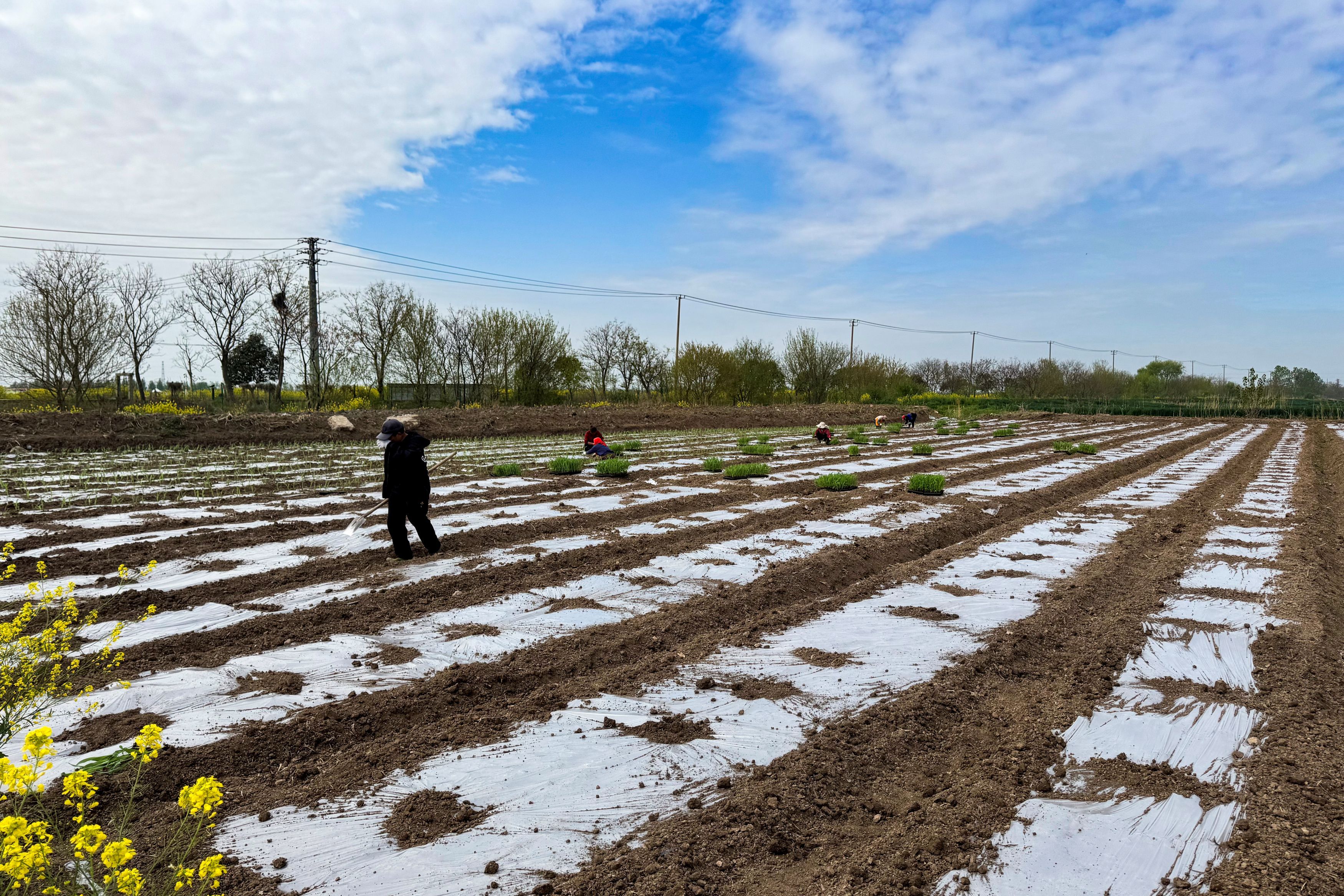 /gb2312/sdcy/xdny/2839.html