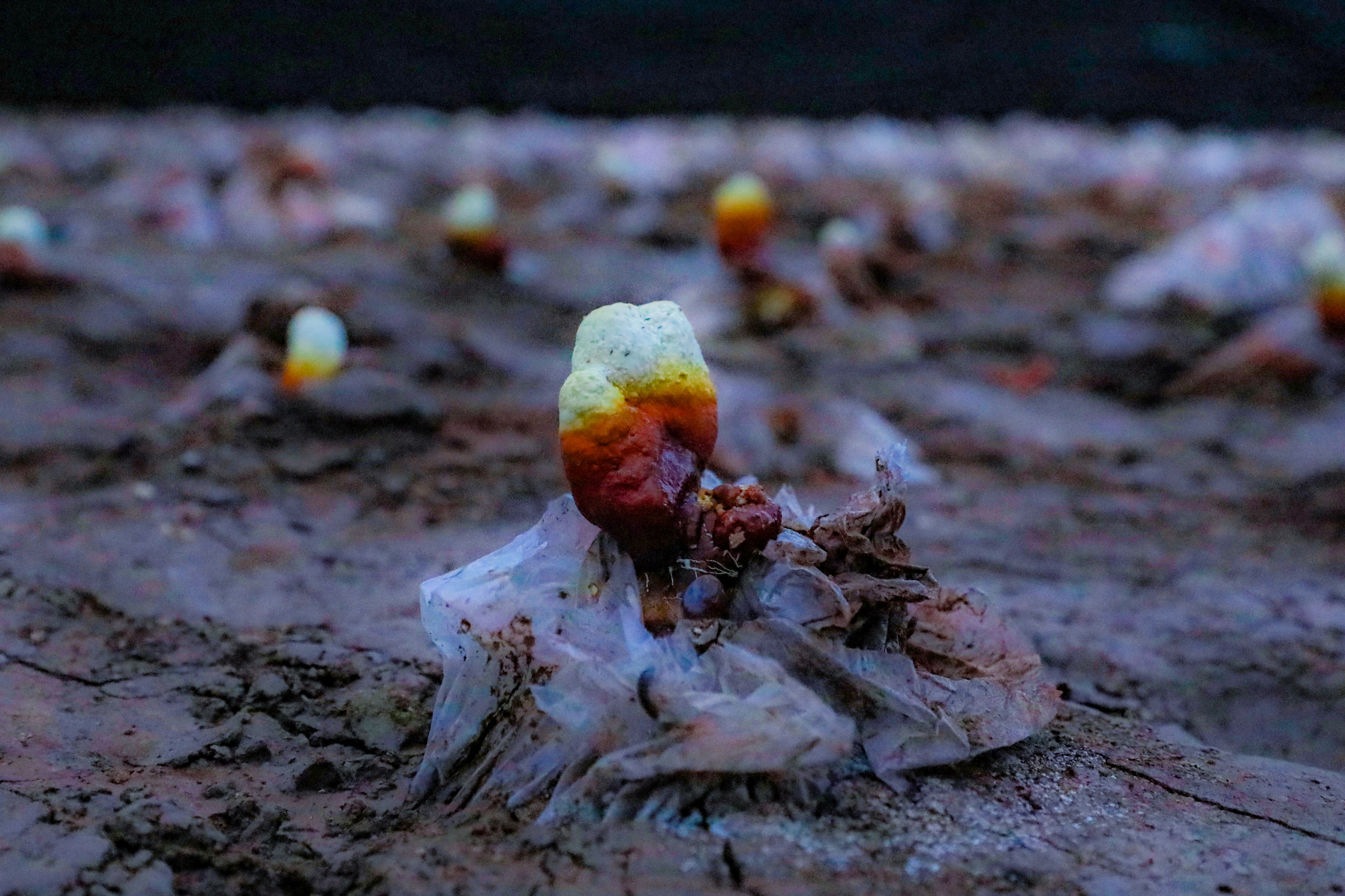 /gb2312/sdcy/xdny/2837.html